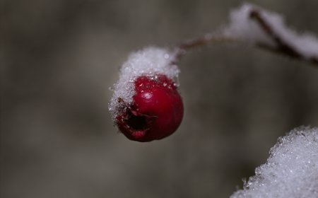 Καιρός Χριστούγεννα: Η πρόγνωση της ΕΜΥ για την Πέμπτη