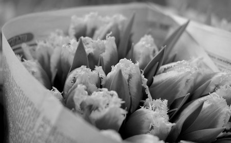 Ατλέτικο Μαδρίτης Χριστούγεννα: “Δεν είσαι μόνος”