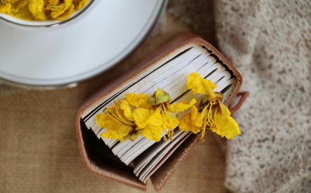 Voucher βιβλίων ΔΥΠΑ 2025: Πότε λήγει η προθεσμία