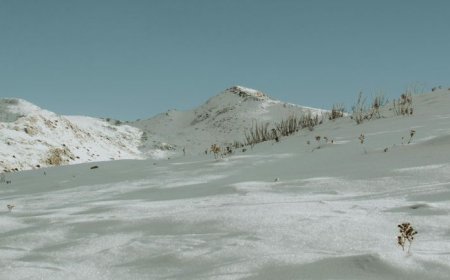 Βαρδούσια ορειβάτες: Πώς δημιουργήθηκε η χιονοστιβάδα