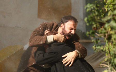 Alpha: Σταθερά πρώτη το 2025 η μυθοπλασία με ποιότητα που κερδίζει την εμπιστοσύνη του κοινού