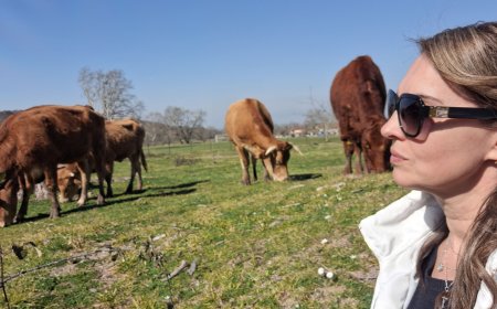 Πρωτογενής Τομέας: Μια χρονιά αγώνα και ελπίδας