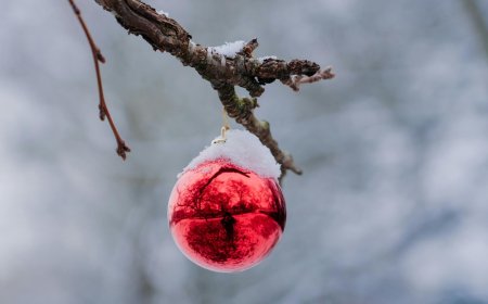 Πού θα χιονίσει την Πρωτοχρονιά: Η πρόβλεψη του Καλλιάνου, τι λέει για την Αττική