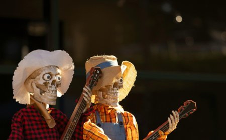 Παράνομες επιδοτήσεις ΟΠΕΚΕΠΕ: Στο στόχαστρο 10 ακόμη ΑΦΜ