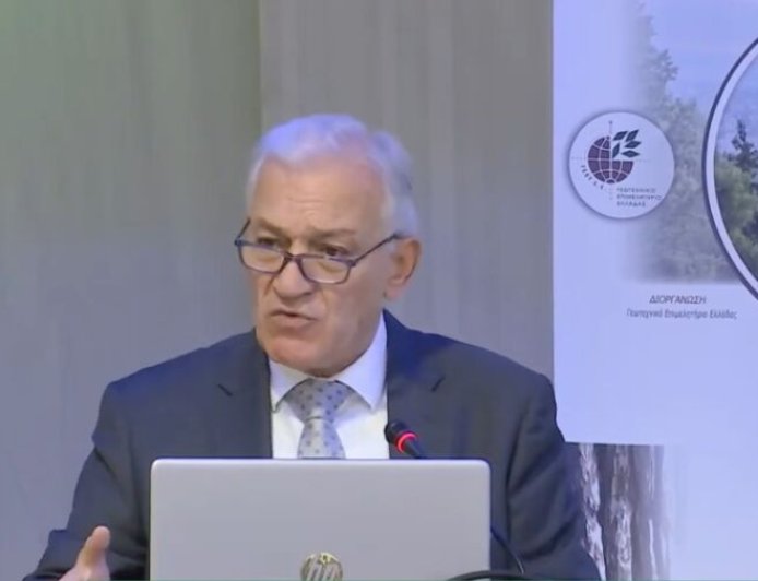 ΚΕΔΕ: Νέα στρατηγική για την προστασία δασών και αστικού περιβάλλοντος στη Θεσσαλονίκη