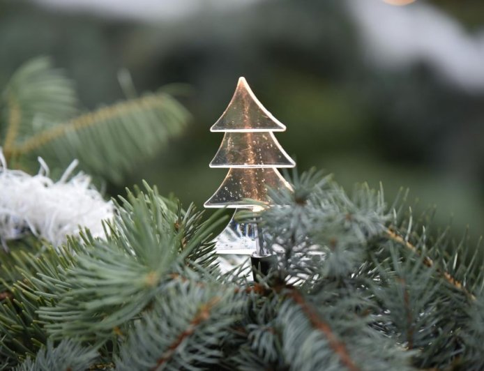 Φως και γιορτή στον Πειραιά: Αντίστροφη μέτρηση για το Χριστουγεννιάτικο Δέντρο