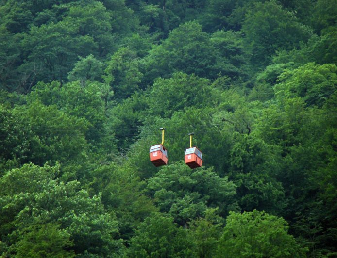 Νερό στην Κίνα: Πώς τα δέντρα άλλαξαν την κατανομή στη χώρα