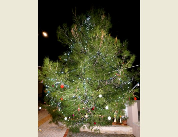 Δήμος Κομοτηνής: Το πρόγραμμα φωταγώγησης των Χριστουγεννιάτικων δέντρων σε 10 οικισμούς