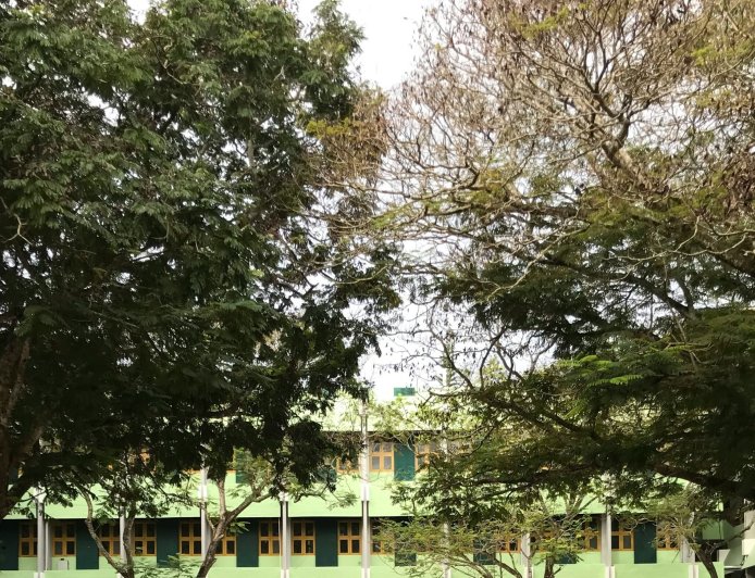 Κυψέλη μαχαίρωμα: Δίωξη για δύο κακουργήματα στην 16χρονη