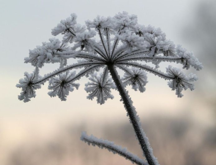 Ξενοδοχείο από πάγο: Άνοιξε το εντυπωσιακό θέρετρο του χειμώνα