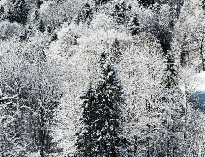 Μίσιγκαν: Άμμος πάγωσε λόγω του ακραίου ψύχους