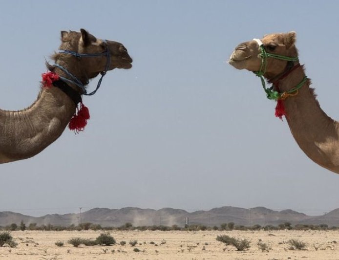 Σαουδική Αραβία: Βρετανίδα εξερευνήτρια περπάτησε όλη τη χώρα με τα πόδια