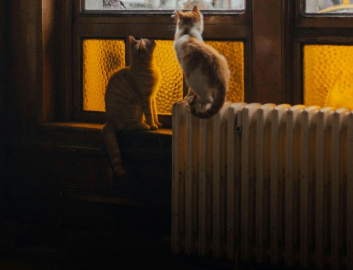 Προκαταβολή επιδόματος θέρμανσης 2025: Πριν τα Χριστούγεννα οι πληρωμές