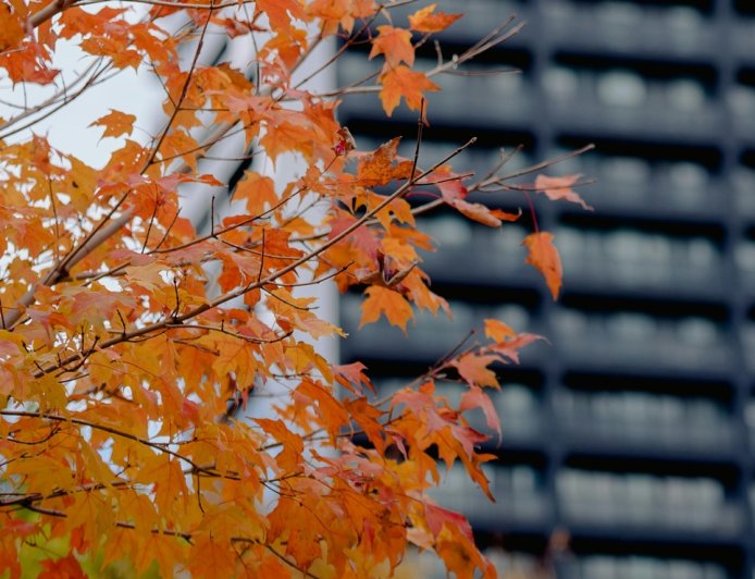 Ανασχηματισμός γενικών γραμματέων υπουργείων 2025: Ποιοι παραιτούνται, ποιοι αναλαμβάνουν