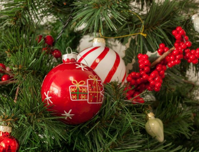 Χανιά χριστουγεννιάτικο δέντρο: Φωταγωγήθηκε στον Ομαλό Χανίων