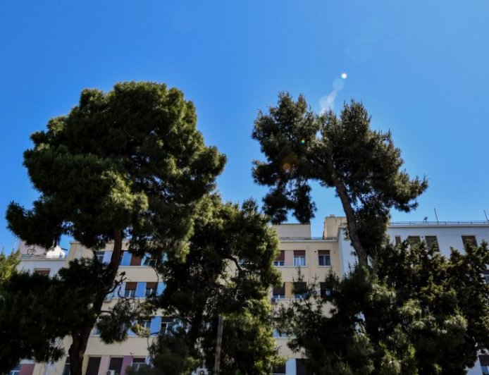 14χρονη πατίνι: Στο νοσοκομείο ανήλικη που έλεγε τα κάλαντα και τραυματίστηκε