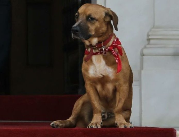 Peanut Μαξίμου: Άκουσε τα κάλαντα μαζί με τον πρωθυπουργό