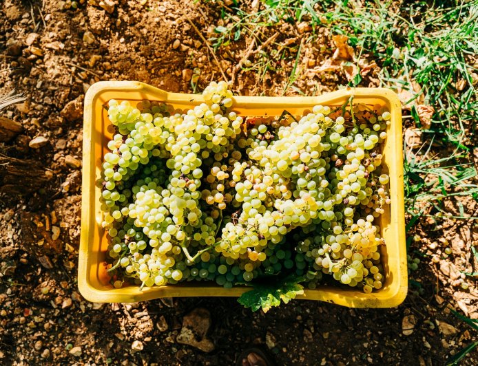 ΟΠΕΚΕΠΕ: Νέες πληρωμές 25,3 εκατ. ευρώ σε πάνω από 43.000 δικαιούχους