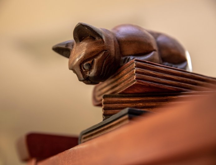 Διαγραφές φοιτητών: 35.000 ζήτησαν παράταση σπουδών – Διαγράφονται 280.000 «αιώνιοι»