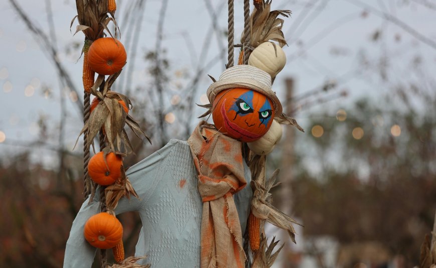 Μπλόκα αγροτών: Βασιλόπιτα στους δρόμους προαναγγέλλουν οι παραγωγοί