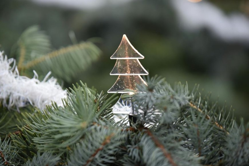 Φως και γιορτή στον Πειραιά: Αντίστροφη μέτρηση για το Χριστουγεννιάτικο Δέντρο