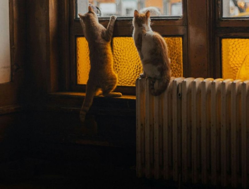 Επίδομα θέρμανσης προθεσμία: Μέχρι αύριο οι αιτήσεις – Πότε η πληρωμή