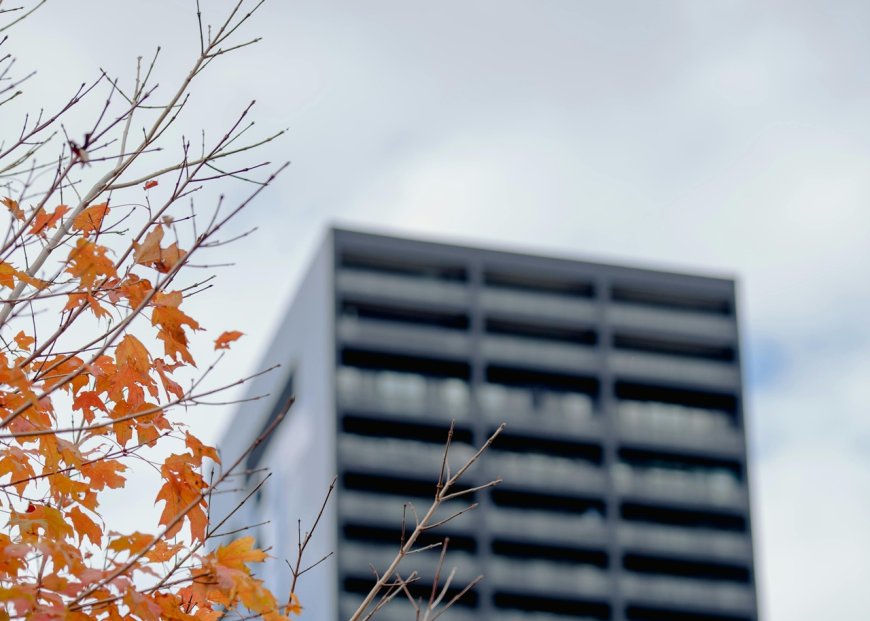 Εργασία και κακοκαιρία 5/12: Τι ισχύει για τους εργαζόμενους σε δημόσιο και ιδιωτικό τομέα