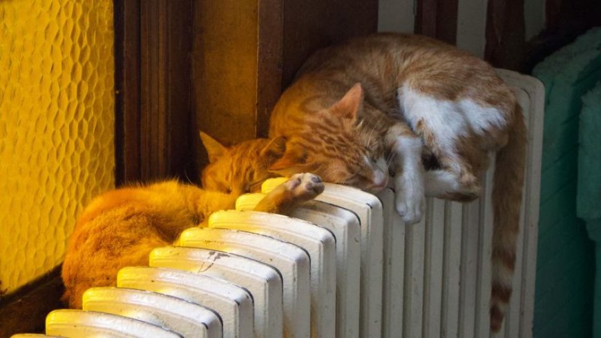 Επίδομα θέρμανσης – Προθεσμία αίτησης: Μέχρι σήμερα (5/12) το βράδυ