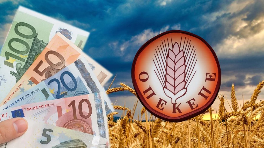 Πληρωμές ΟΠΕΚΕΠΕ: Πιστώθηκαν 28,78 εκατ. € σε δικαιούχους βιολογικής κτηνοτροφίας και μελισσοκομίας