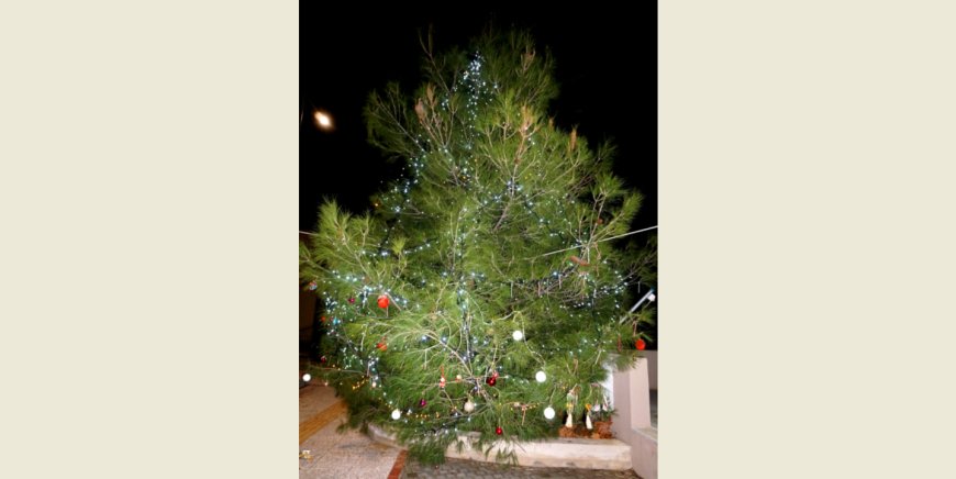 Δήμος Κομοτηνής: Το πρόγραμμα φωταγώγησης των Χριστουγεννιάτικων δέντρων σε 10 οικισμούς