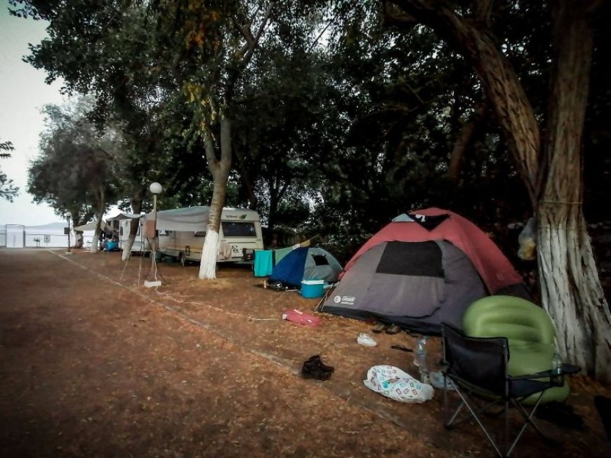 Φοινικούντα εξελίξεις: Απολογείται σήμερα ο ανιψιός και ο επιχειρηματίας για τη δολοφονία του ιδιοκτήτη του κάμπινγκ