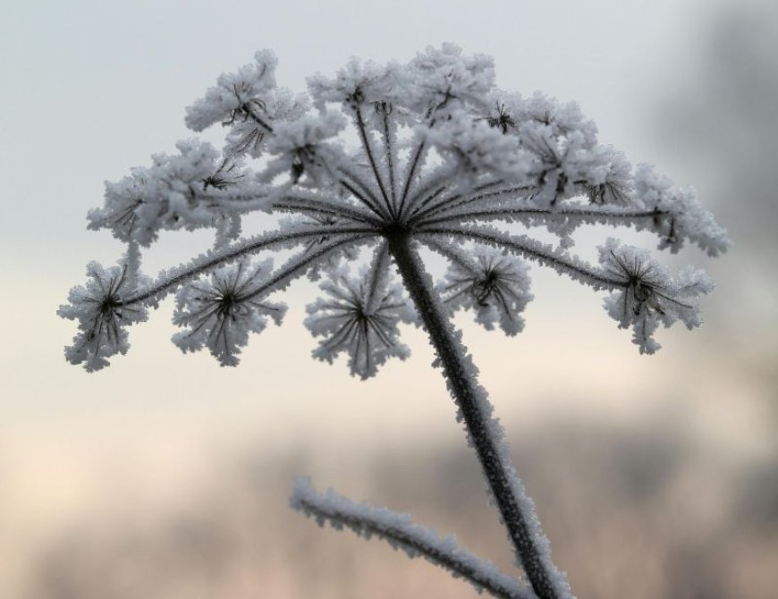 Ξενοδοχείο από πάγο: Άνοιξε το εντυπωσιακό θέρετρο του χειμώνα