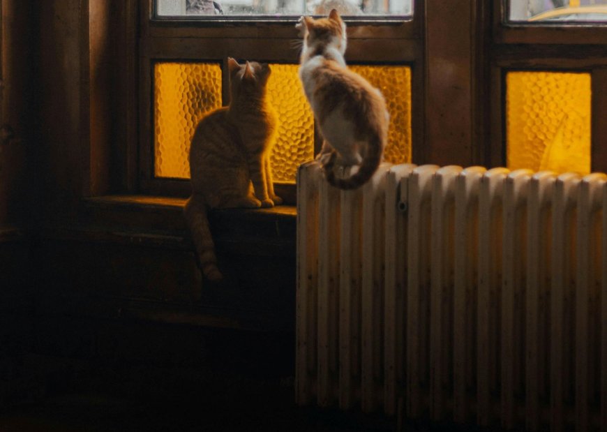 Προκαταβολή επιδόματος θέρμανσης 2025: Πριν τα Χριστούγεννα οι πληρωμές