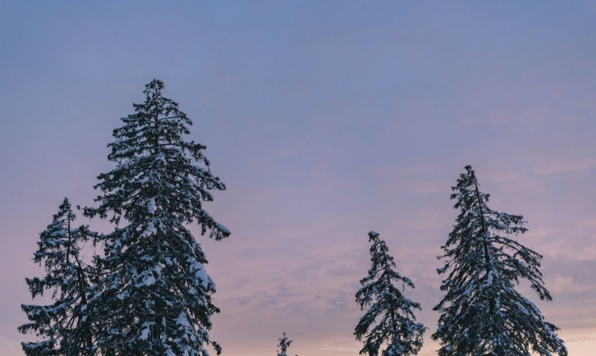 Καιρός Χριστούγεννα και Πρωτοχρονιά 2025: “Όποιος βιάζεται σκοντάφτει…”