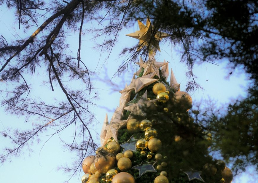 Χριστούγεννα 2025: Το μετρό και το τραμ της Αθήνας «έβαλαν» τα γιορτινά τους