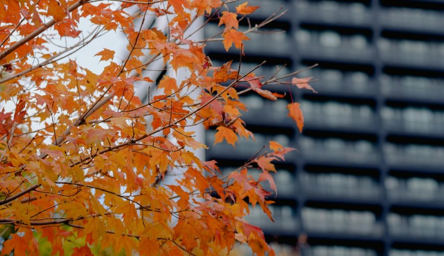 Ανασχηματισμός γενικών γραμματέων υπουργείων 2025: Ποιοι παραιτούνται, ποιοι αναλαμβάνουν