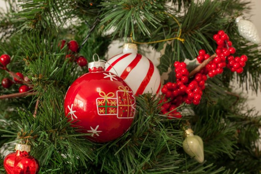 Χανιά χριστουγεννιάτικο δέντρο: Φωταγωγήθηκε στον Ομαλό Χανίων