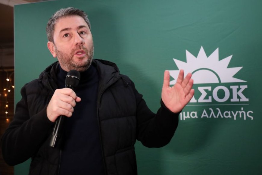 Ανδρουλάκης Μοσχάτο: Νόμοι και ποιοτική δημοκρατία à la carte