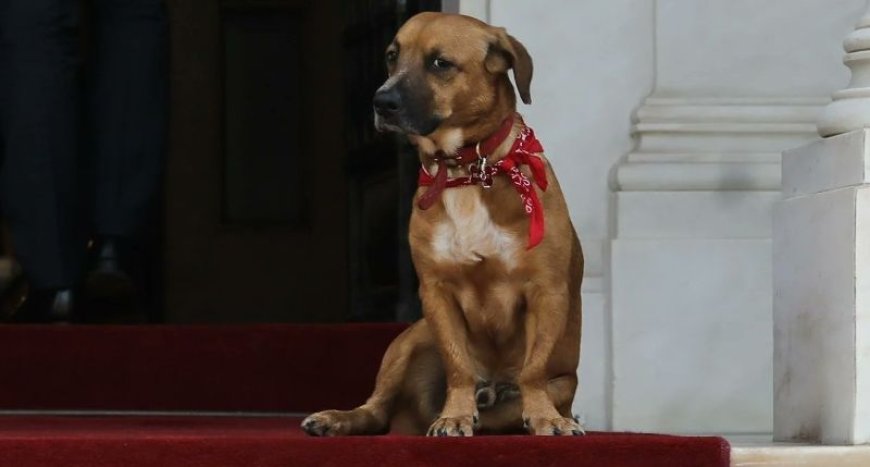 Peanut Μαξίμου: Άκουσε τα κάλαντα μαζί με τον πρωθυπουργό