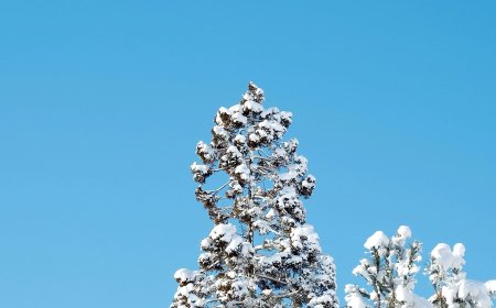 Λήμνος χιόνια: Σπάνια δορυφορική εικόνα από το νησί
