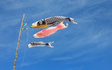 Ο καιρός τον Ιανουάριο του 2026: Αισθητή άνοδος της θερμοκρασίας