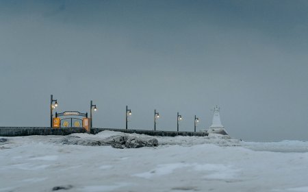 Αγώνας με τον χρόνο σε παγωμένα νερά για τη διάσωση σκύλου στις ΗΠΑ