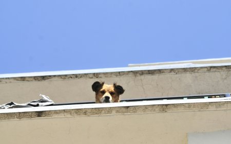 Ανακαίνιση σπιτιού με επιδότηση 2026: Ποιοι δικαιούνται έως €36.000