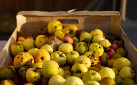 Απεργία λαϊκών αγορών: Τα ζητήματα που απασχολούν τον κλάδο