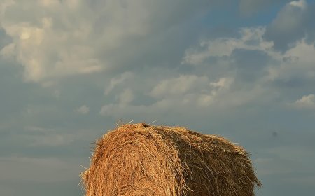 Συμφωνία Mercosur – Ελλάδα: Τα οφέλη της μεγάλης εμπορικής συμφωνίας