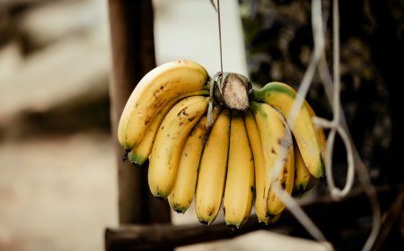 Νέο μοντέλο για τις λαϊκές αγορές