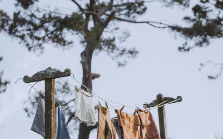 40.000 κοτόπουλα χάθηκαν από ανεμοστρόβιλο: Σε απόγνωση η οικογένεια του πτηνοτρόφου στο Καλπάκι