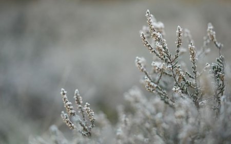 Σε επιφυλακή ο Δήμος Αθηναίων λόγω ψύχους – Έκτακτα μέτρα για τους ευάλωτους