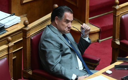 Κόμμα Καρυστιανού – Γεωργιάδης: «Οι δύο βασικοί αντίπαλοί της είναι Βελόπουλος και Κωνσταντοπούλου»
