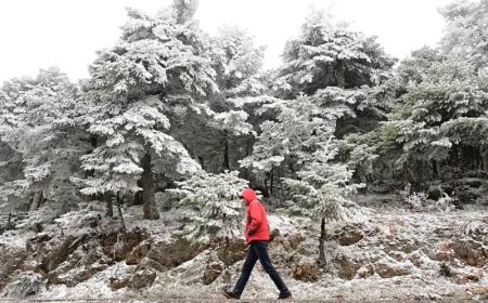Χιόνια στην Πάρνηθα: Τσουχτερό το κρύο στα ορεινά της Αττικής